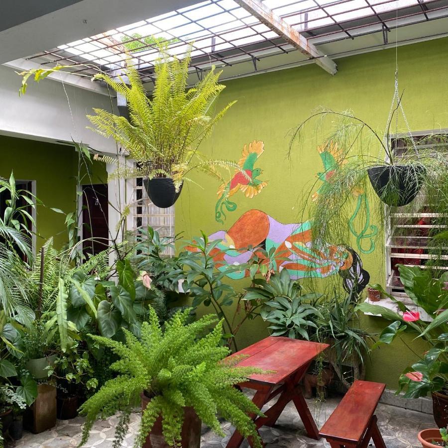 Hostal Cumbres Del Volcan Flor Blanca San Salvador Bagian luar foto